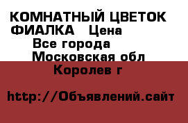 КОМНАТНЫЙ ЦВЕТОК -ФИАЛКА › Цена ­ 1 500 - Все города  »    . Московская обл.,Королев г.